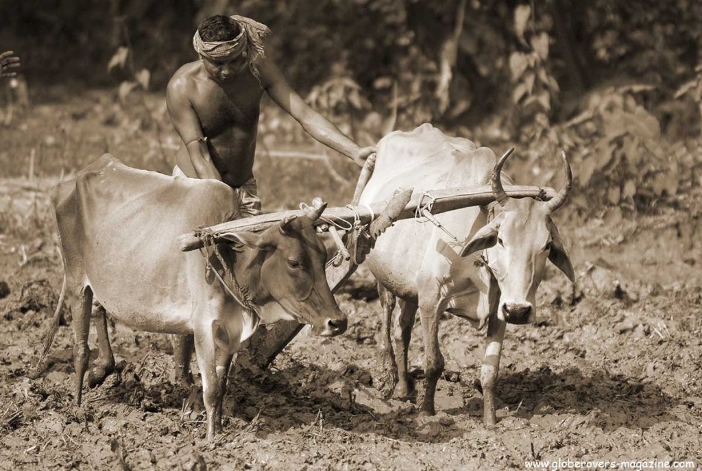 Mongla, Bangladesh