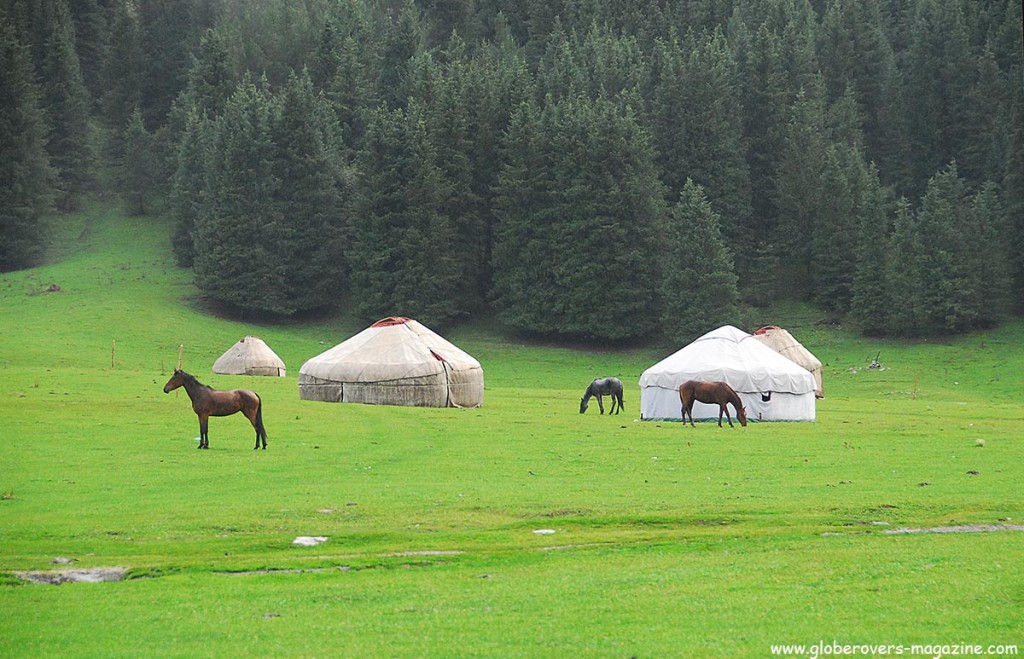 Horses near Jedi-Oguz, Kyrgyzstan. This photo is special as it became the front cover of the July 2014 Issue of Globerovers Magazine