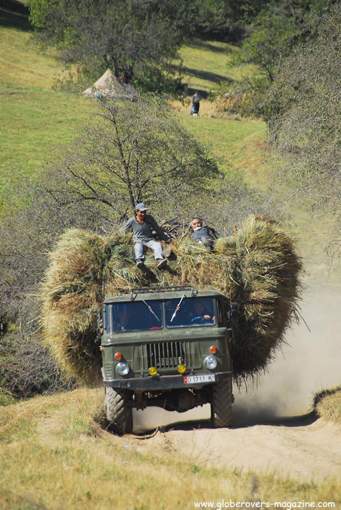 Early September 2013 and the farmers are working</span> hard to harvest the hay before the onset of winter. During the snowy winter months their animals will remain in the barns and munch on the hay. Arslanbob, Kyrgyzstan