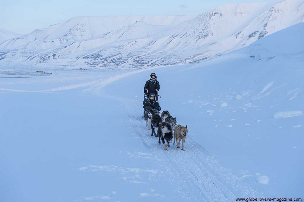 Dog Sledding - Svalbard, Norway