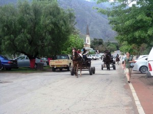 Greyton Main Road where horse-carts are mainly used to entertain out-of-town visitors.