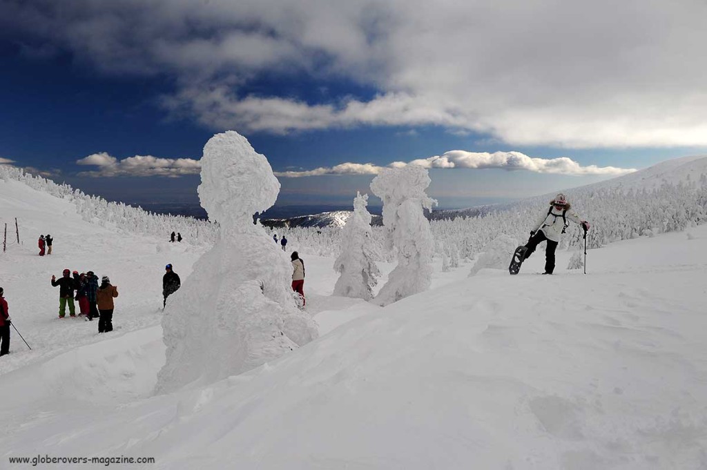 winter japan