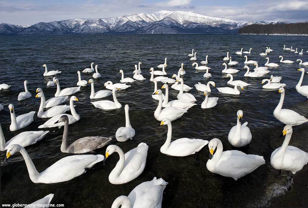 winter japan