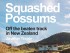 Squashed Possums - Jonathan Tindale