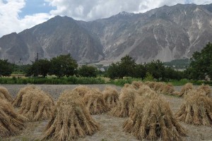 Minapin Village, Hunza Valley