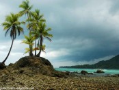 Walking from Carate to Sirena Ranger St., Corcovado National Park, Costa Rica