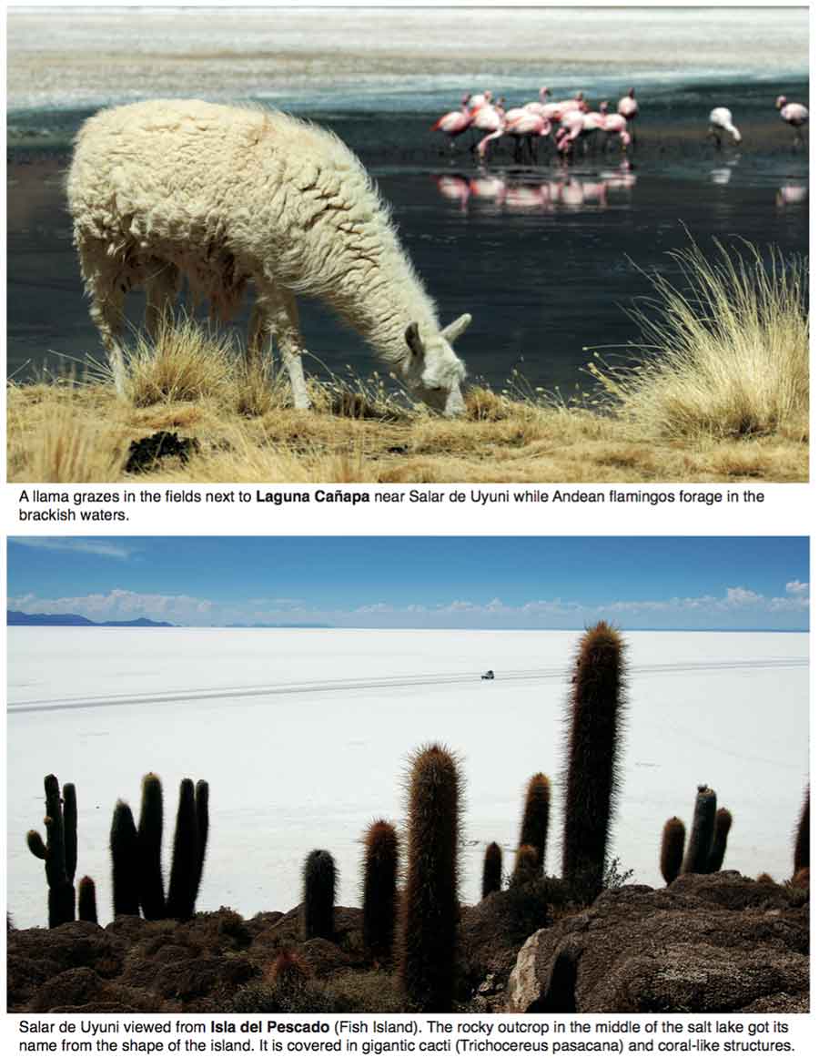 Salar de Uyuni, Bolivia