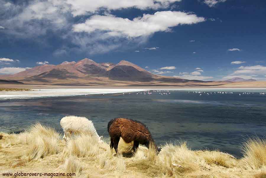 Salar de Uyuni, Bolivia