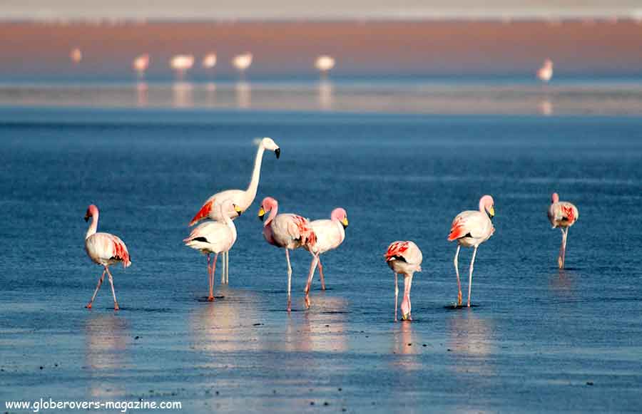 Salar de Uyuni, Bolivia