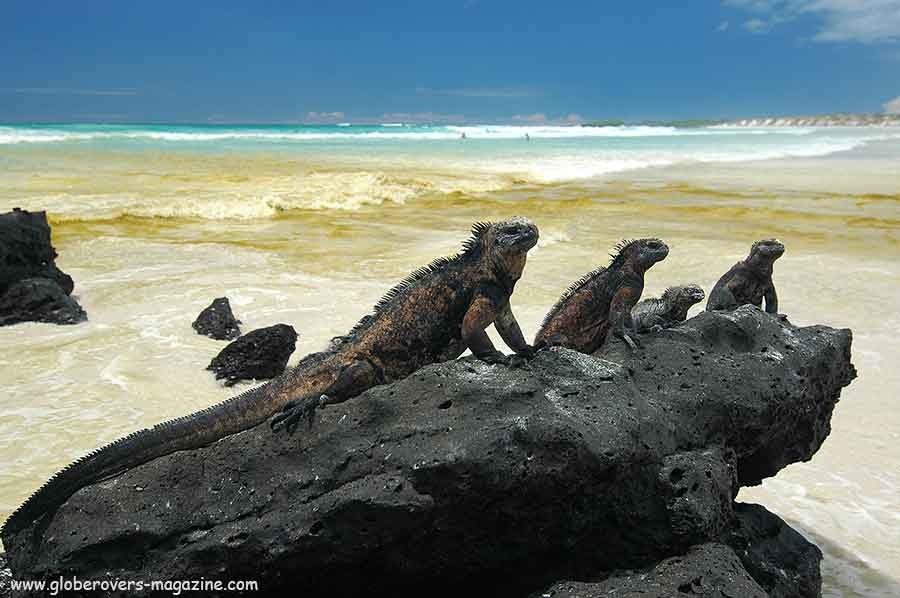 Galapagos Islands, Ecuador, South America