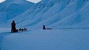 Dog Sledding in Svalbard, Norway