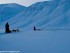 Dog Sledding in Svalbard, Norway