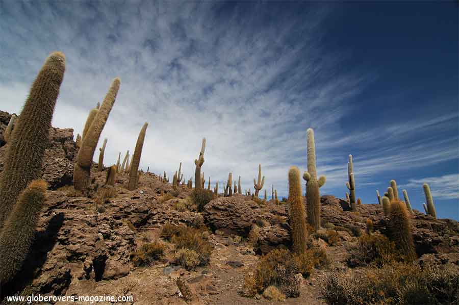 Salar de Uyuni - Bolivia