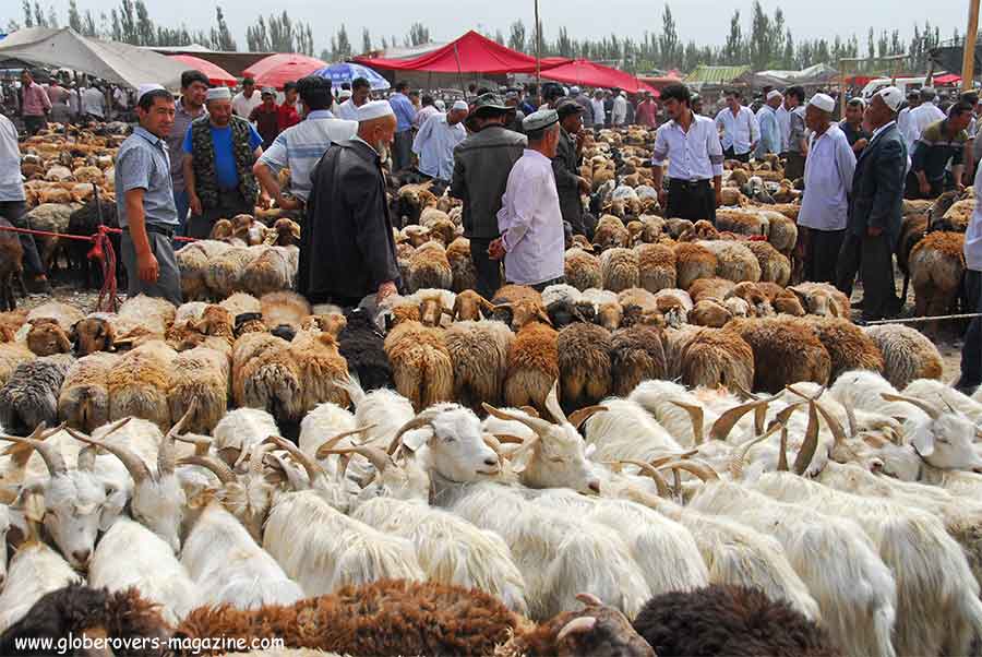 Xinjiang-China-Uyghurs--Livestock-Globerovers Magazine