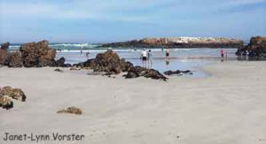 Hermanus-Kammabaai-Beach, South Africa