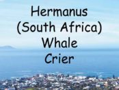 Eric Davalala, the Hermanus whale crier.