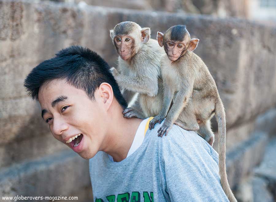 Lopburi Monkey buffet festival, thailand