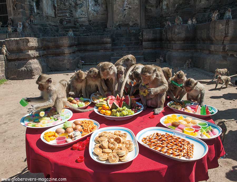 Lopburi Monkey buffet festival, thailand