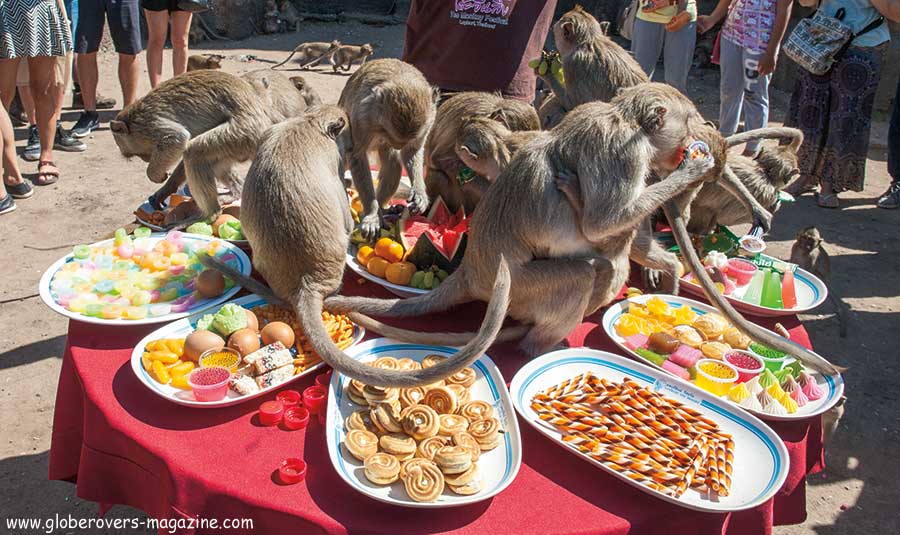 Lopburi Monkey buffet festival, thailand