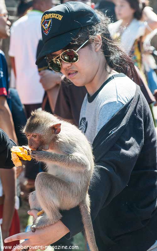 Lopburi Monkey buffet festival, thailand