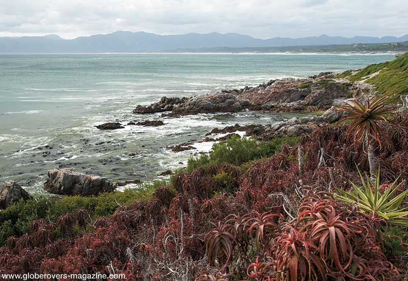 gansbaai hermanus south africa