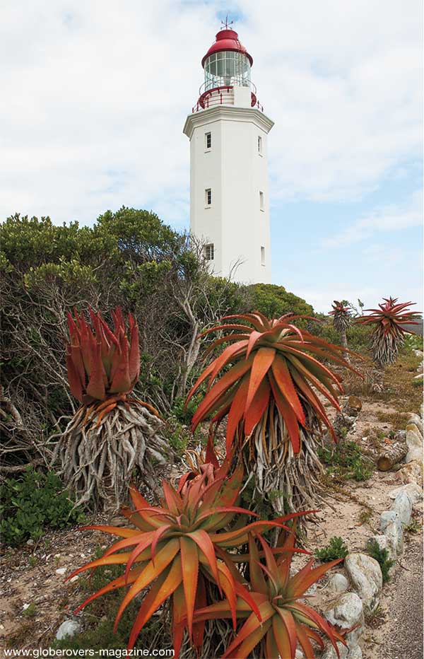 gansbaai hermanus south africa