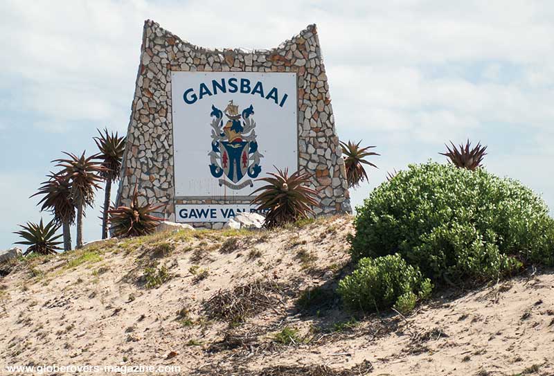 gansbaai south africa