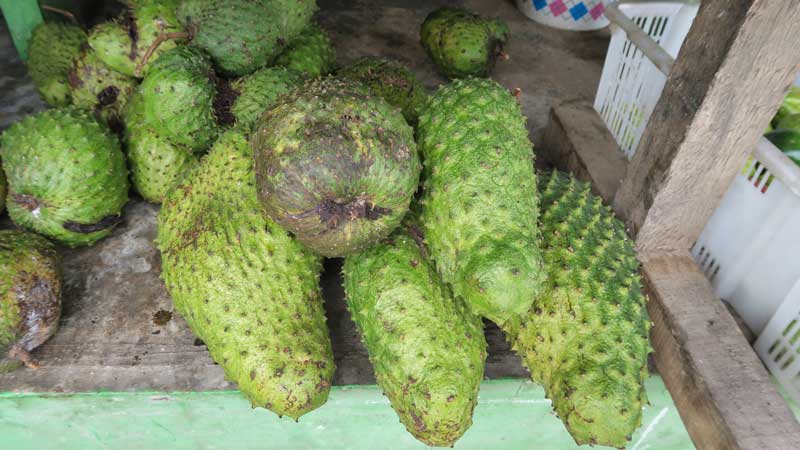 fruits, dili, timor leste, travel, indonesia