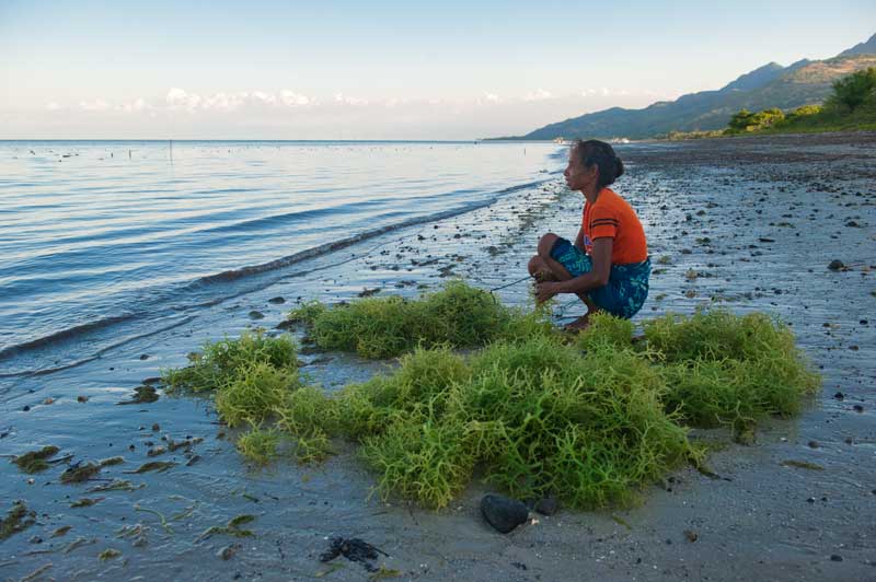 dili, timor leste, travel, indonesia