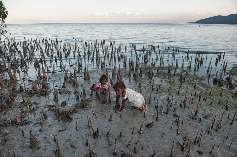 dili, timor leste, travel, indonesia