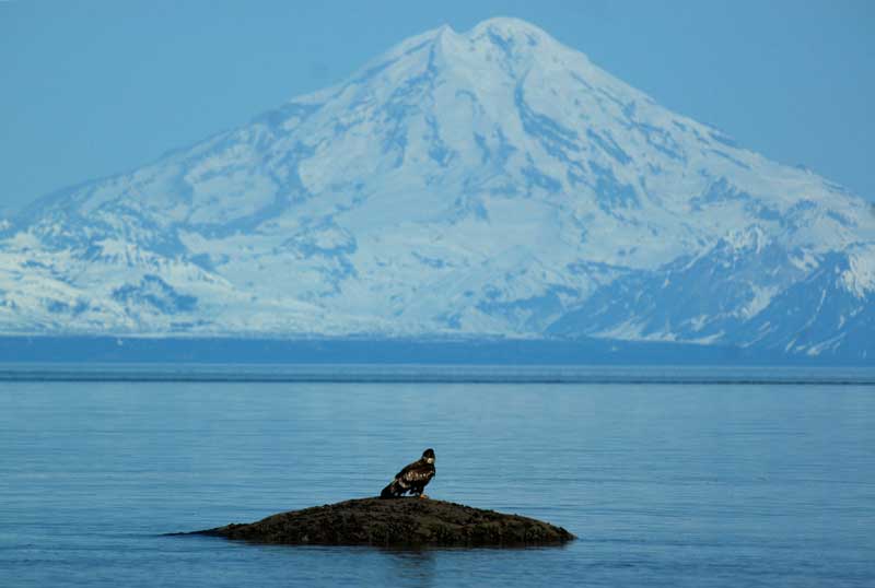 sunset, volcano, seals, glaciers, alaska, usa, travel 