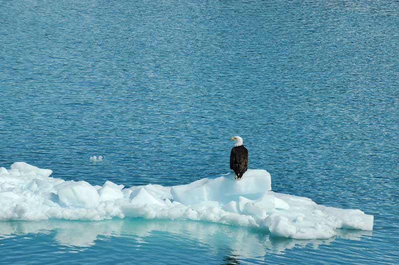 glaciers, alaska, usa, travel 