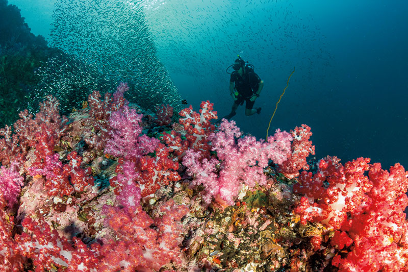 Juan Gallardo diving myanmar