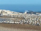 South Africa West Coast