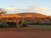 Late afternoon overlooking Mount Ive